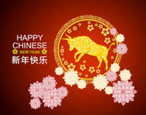 Large chinese new year